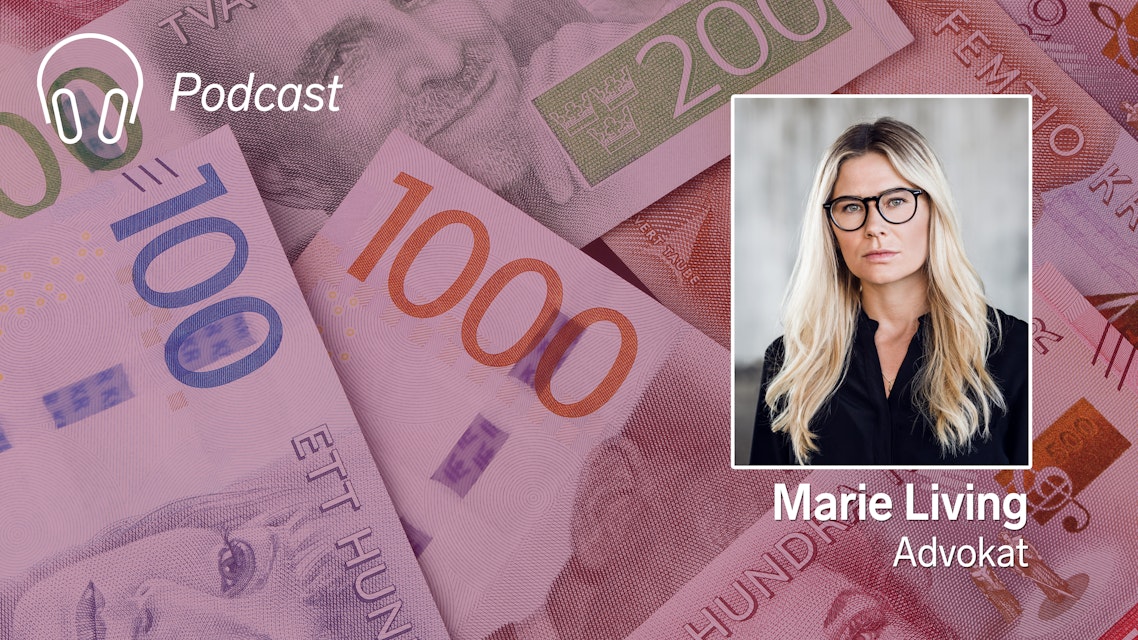 Miljonarv till fel person – intervju med ombudet i målet mot familjejuristen