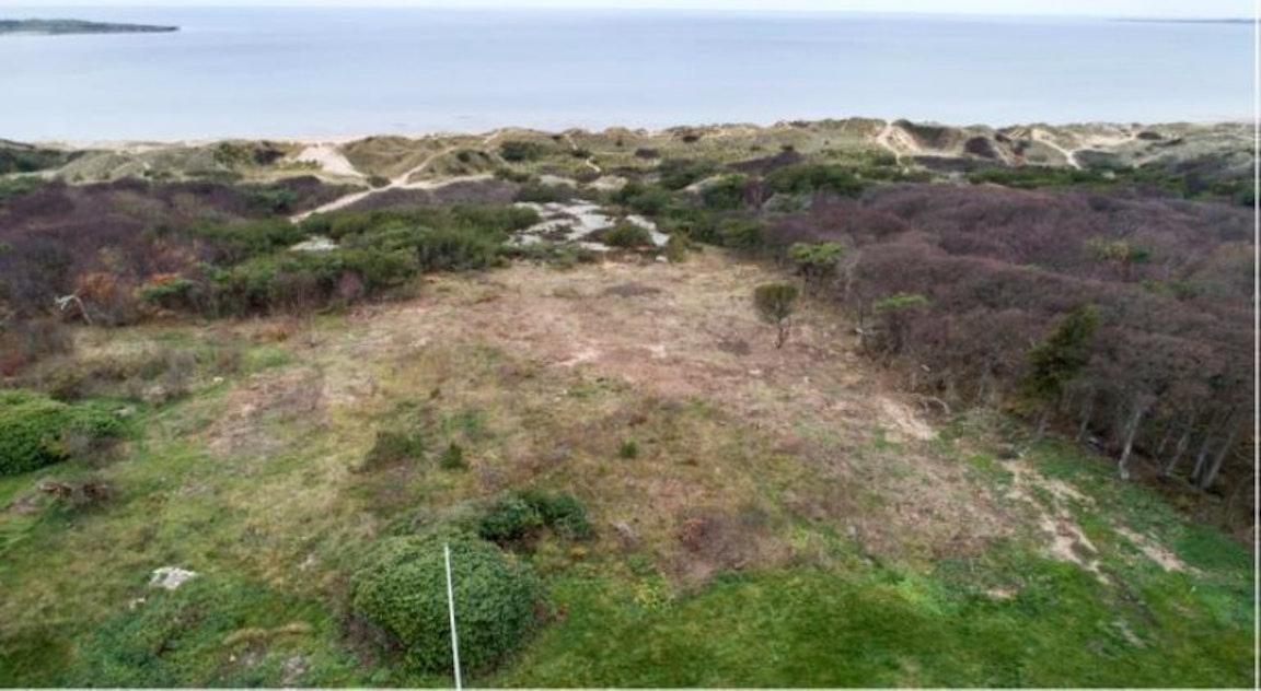 20 miljoner blev halv miljon för trädfällning i Tylösand