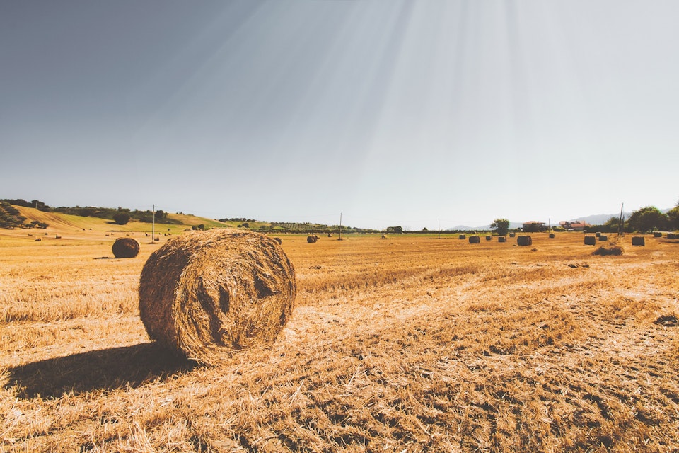 Bonde ska betala 75 000 kronor i företagsbot – rev biotopskyddade stenmurar