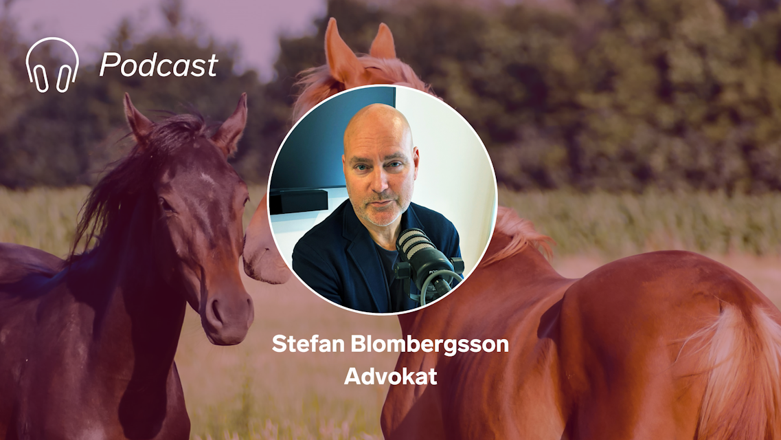 Advokaten om målet där säljaren fick 15 miljoner efter köparens avhopp