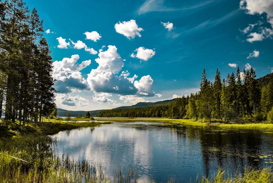 Miljörättslig nyhetsdag