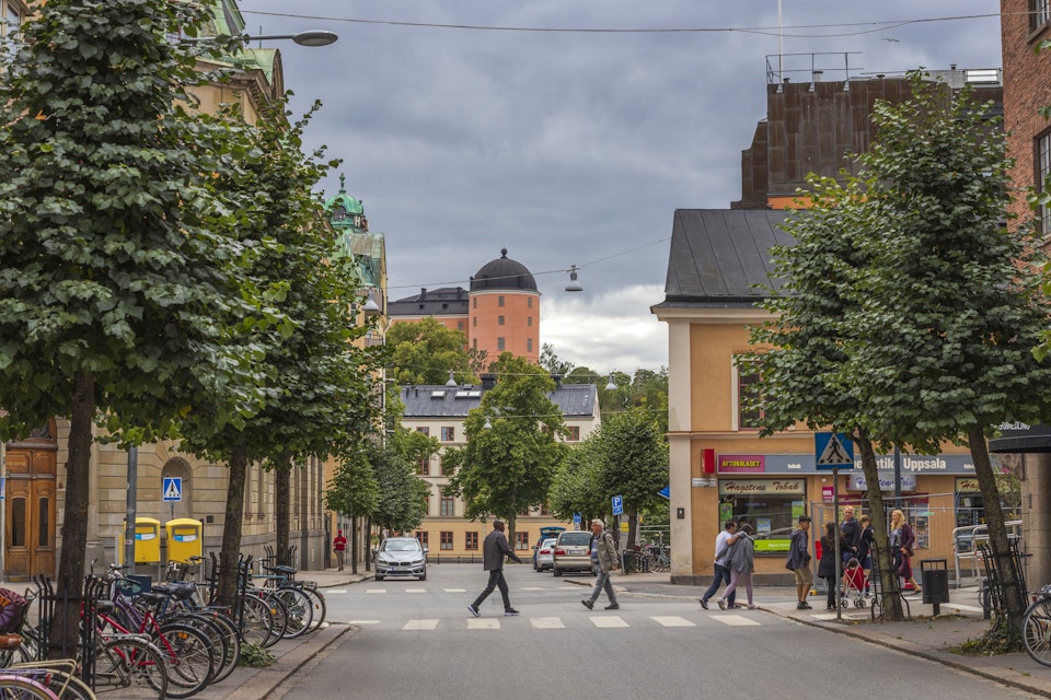 Mamma frias – omedveten om 23 kilo narkotika som sonen hade i hemmet