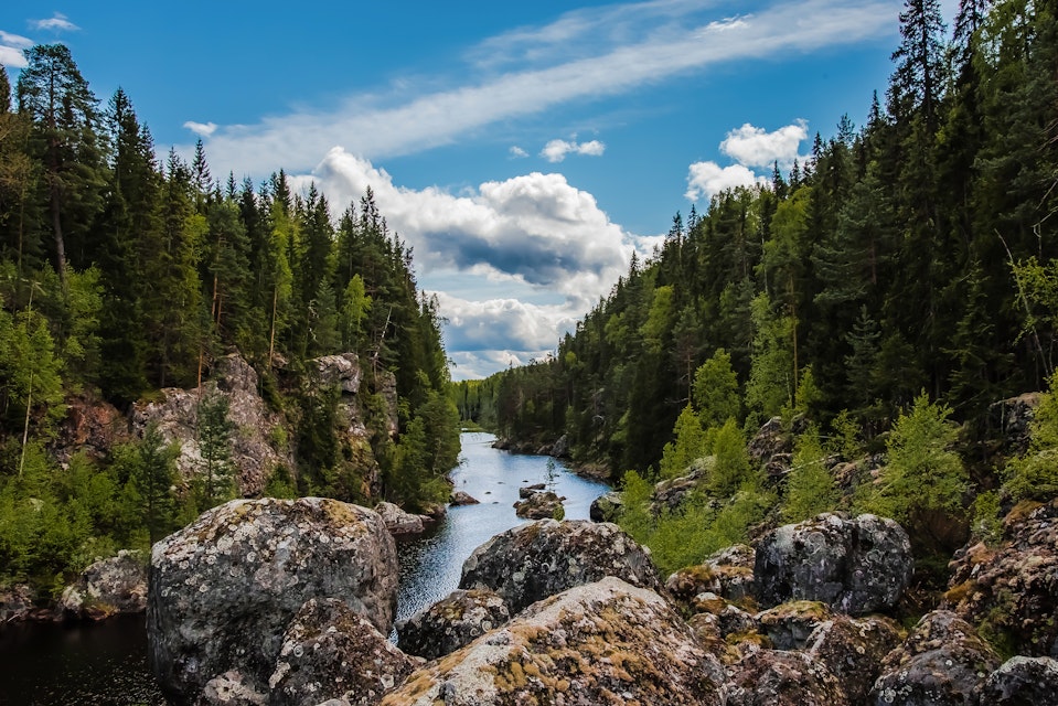 Miljöorganisation i Dalälven har överklaganderätt i vattenkraftsmål