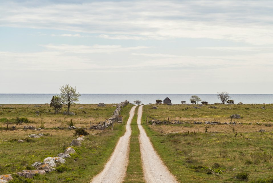 Markägare på Gotland går miste om ersättning för silverfynd