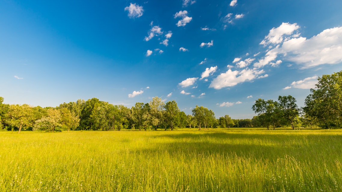Gnistbildning från markberedning ingen störning enligt MB - orsakar inte ”regelmässigt” bränder