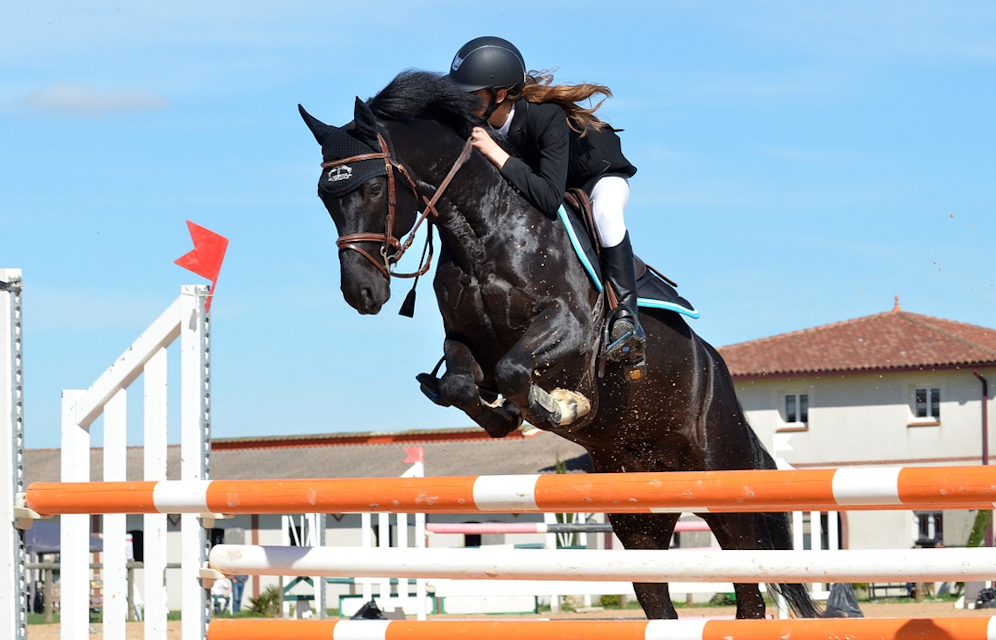 Hästköpare förlorar i HD - inget konsumentköp trots att säljaren bedriver ridskola