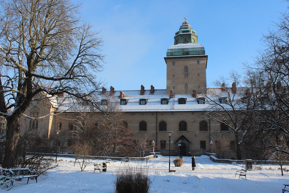 Cissi Wallin fälls för grovt förtal – våldtäktsanklagelse inte försvarlig